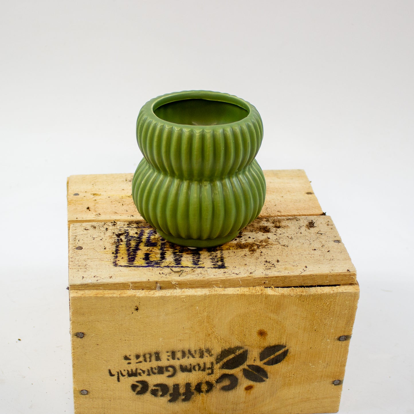 Pure Paradise pot Ø8cm H9cm