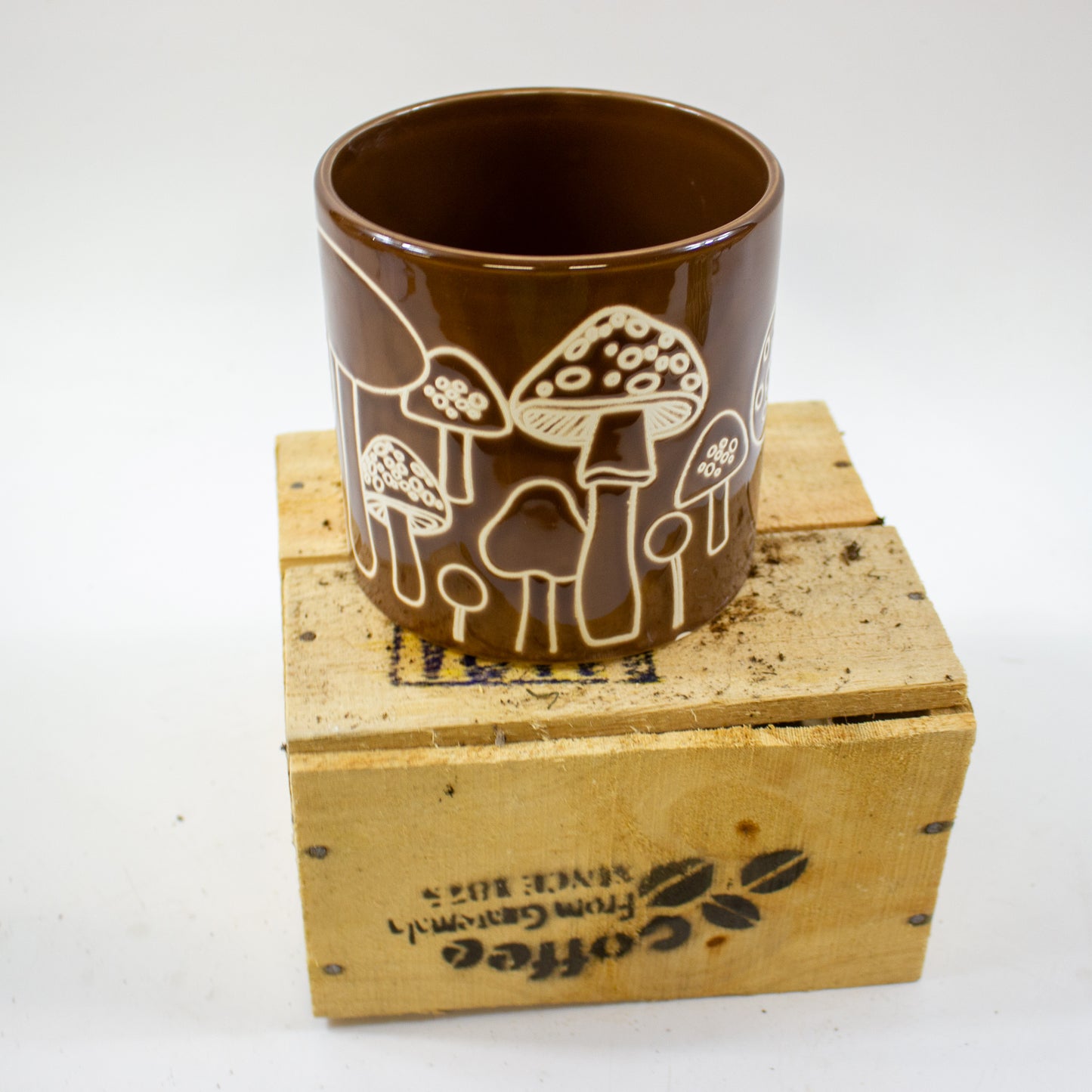 Mystical Mushrooms Pot Ø12cm H13cm