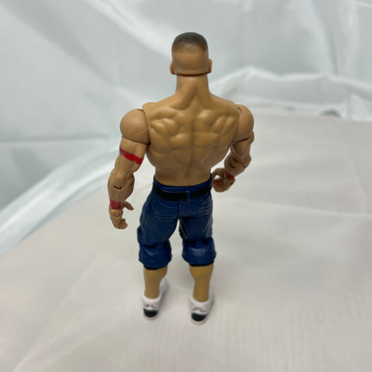 Aspidistra 'Milky Way'