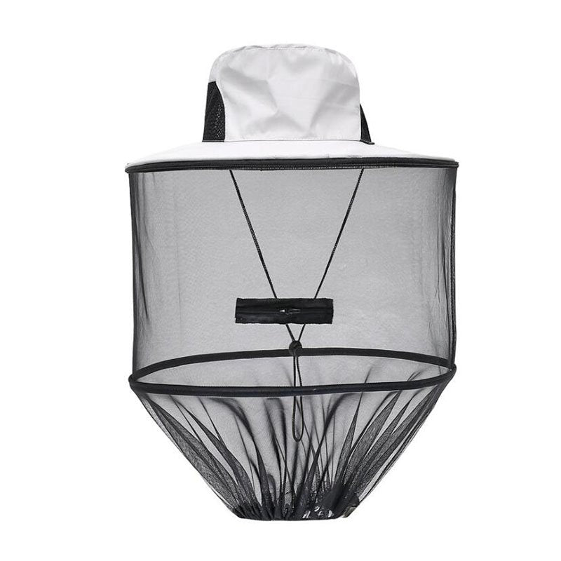 Aspidistra 'Milky Way'