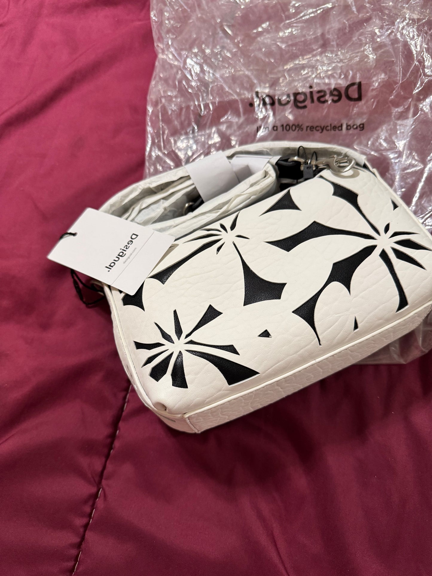 Ludisia discolor 12cm H35cm