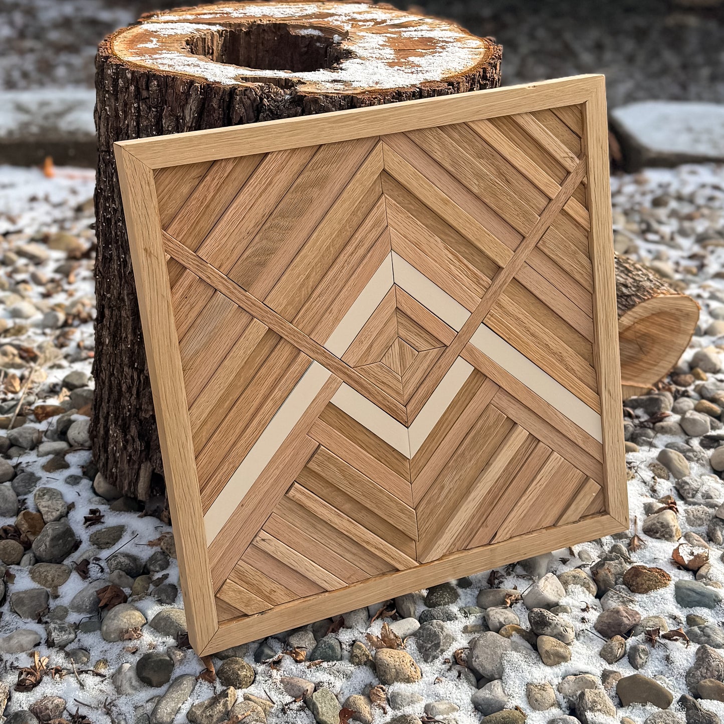 Philodendron scandens 15cm H40cm