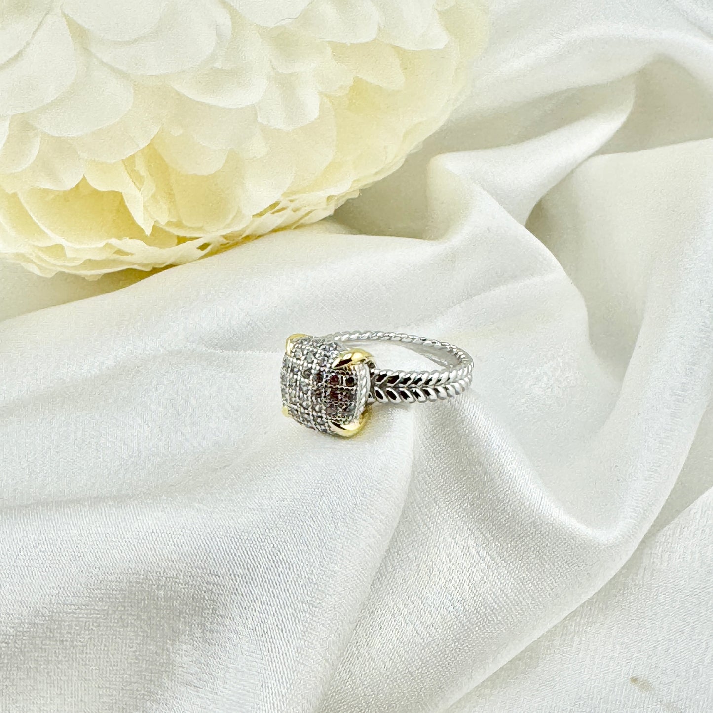 Philodendron scandens 15cm H40cm