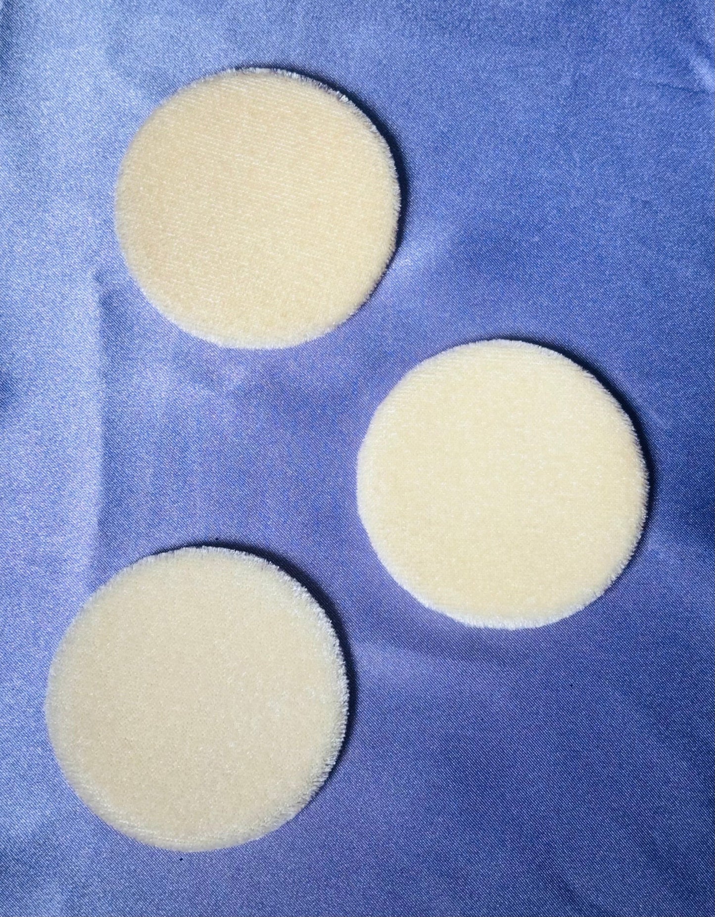 Philodendron scandens 15cm H40cm