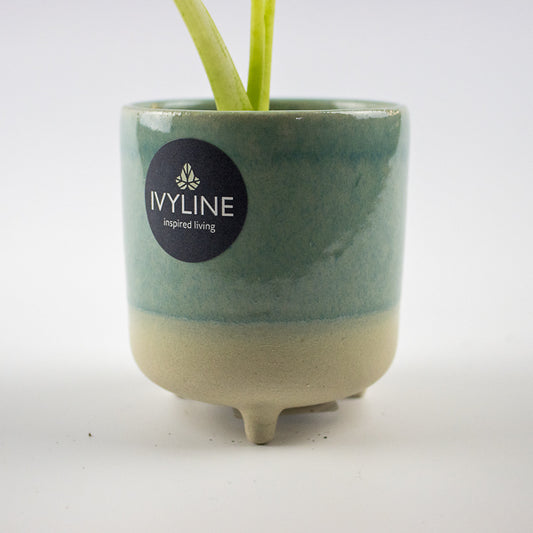 Jolie Aqua Matte Reactive 3 Leg Cacti Planter H8.5cm D8cm