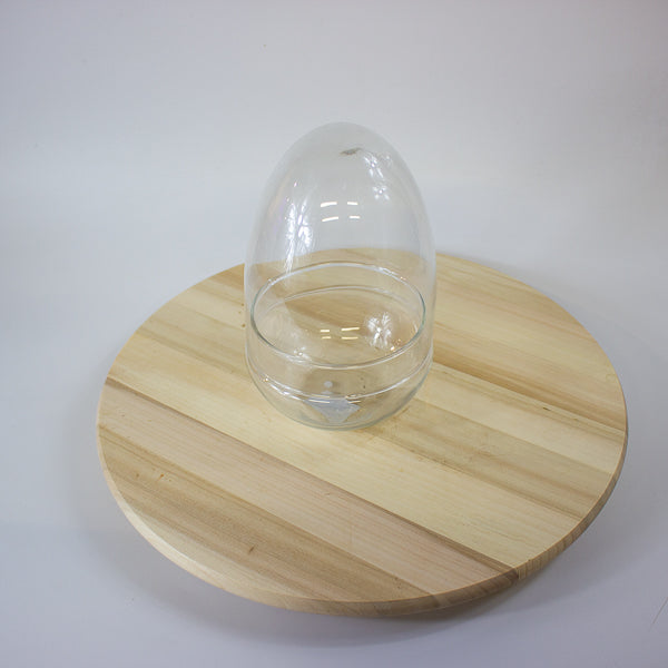 Glass Egg Terrarium Kit