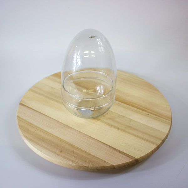 Glass Egg Terrarium Kit