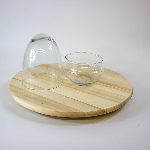 Glass Egg Terrarium Kit