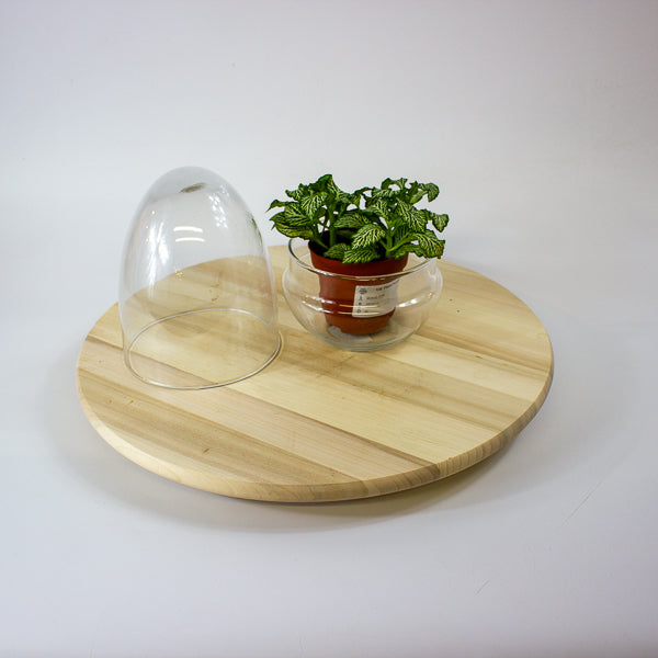 Glass Egg Terrarium Kit