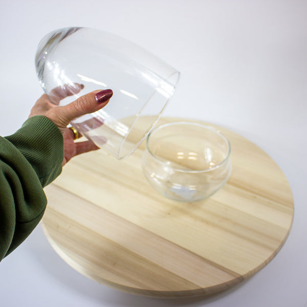 Glass Egg Terrarium Kit