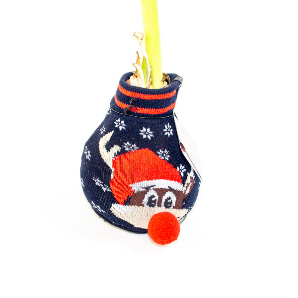 Amaryllis in wax - Fashions Silly Mix - Choose 1 from our selection