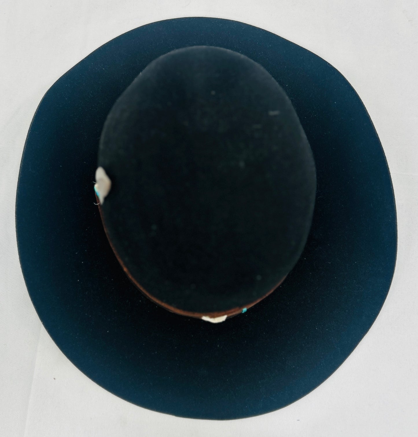 Anthurium Veitchii Narrow 8cm H10cm