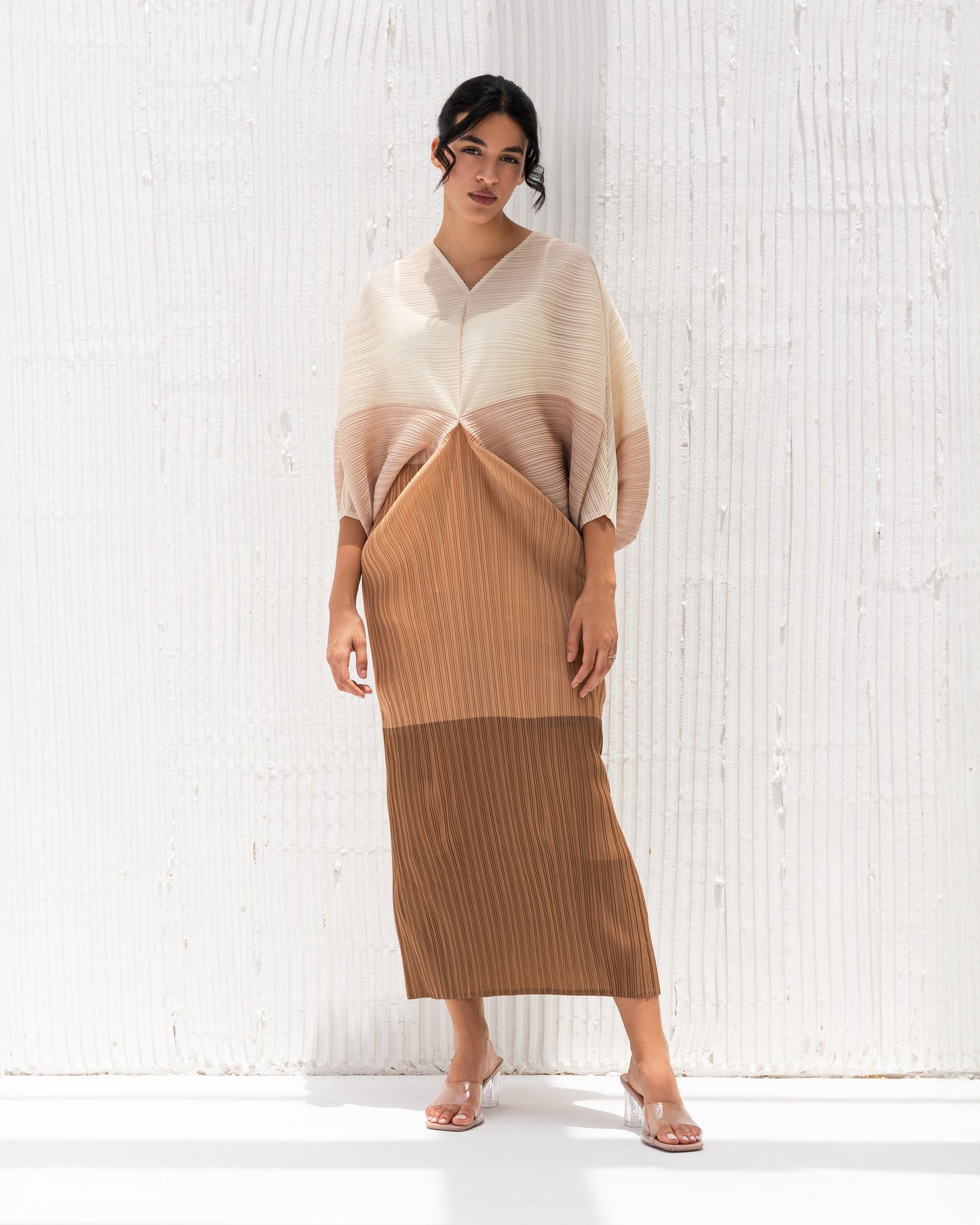 Philodendron 'White Wizard' 11cm H23cm