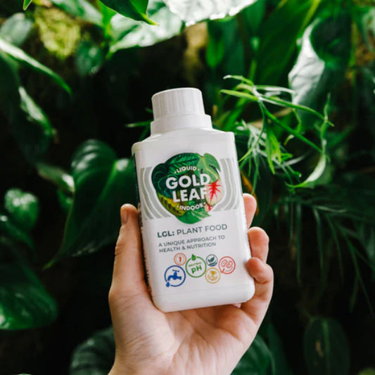 Liquid Gold Leaf fertiliser 250ml