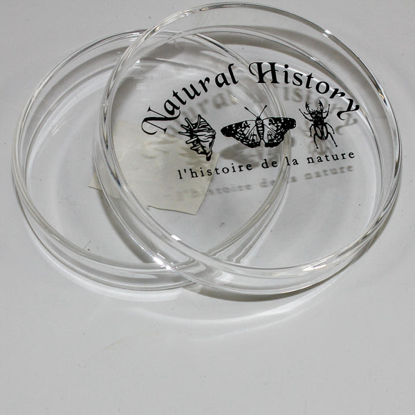 Petri Dish Small (50Ml)