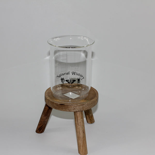 Beaker (500Ml)