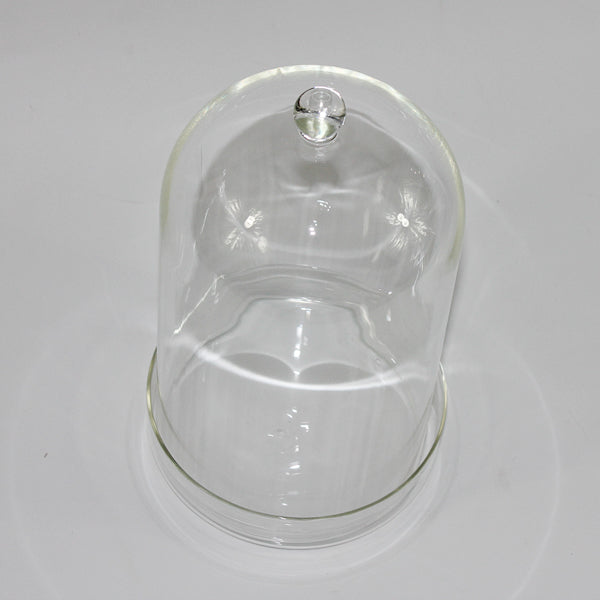 Glass Dome With Saucer Small