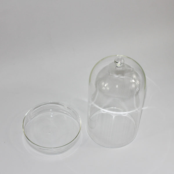Glass Dome With Saucer Small