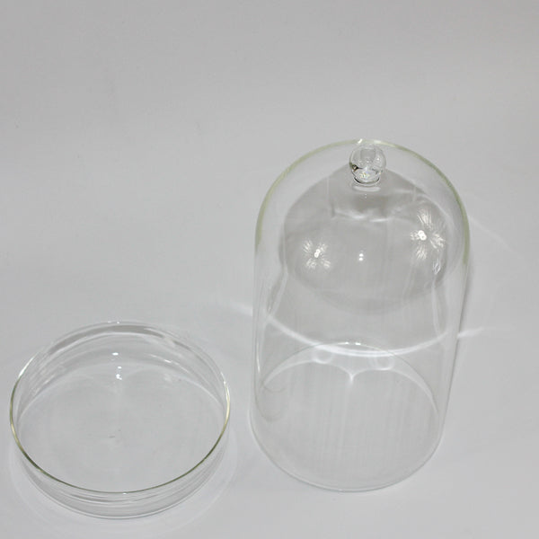 Glass Dome With Saucer Small