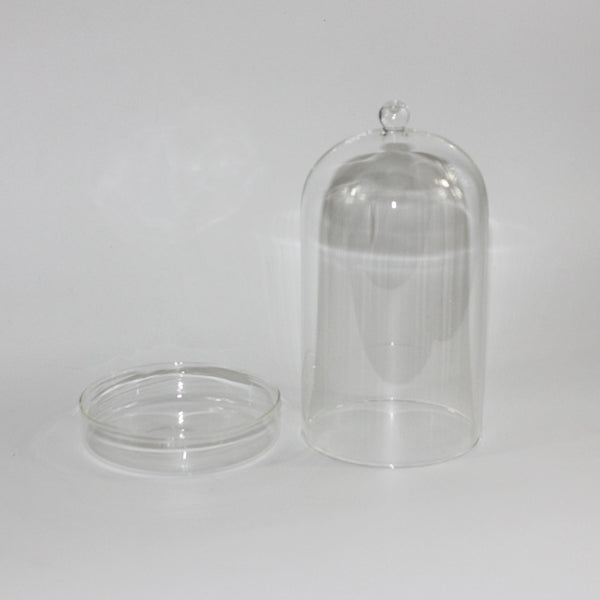 Glass Dome With Saucer Small