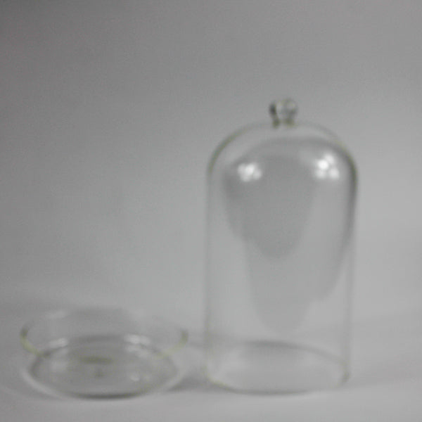 Glass Dome With Saucer Small