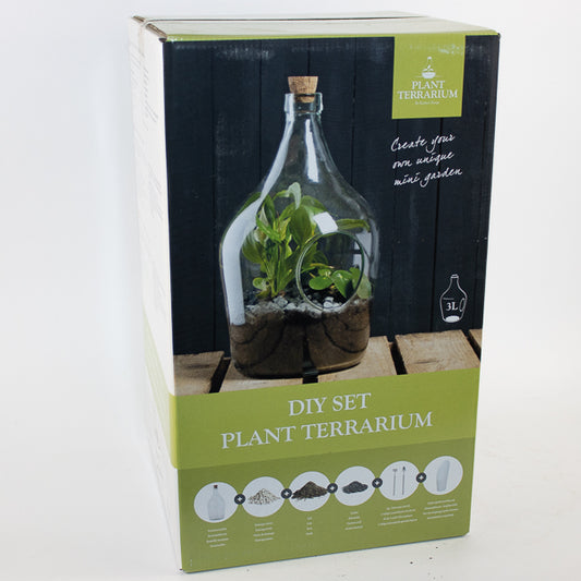 DIY Open Terrarium Bottle Set 3 Litre