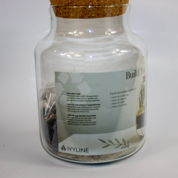 Bottle Shape Large Terrarium DIY Kit  H26.5cm W19cm