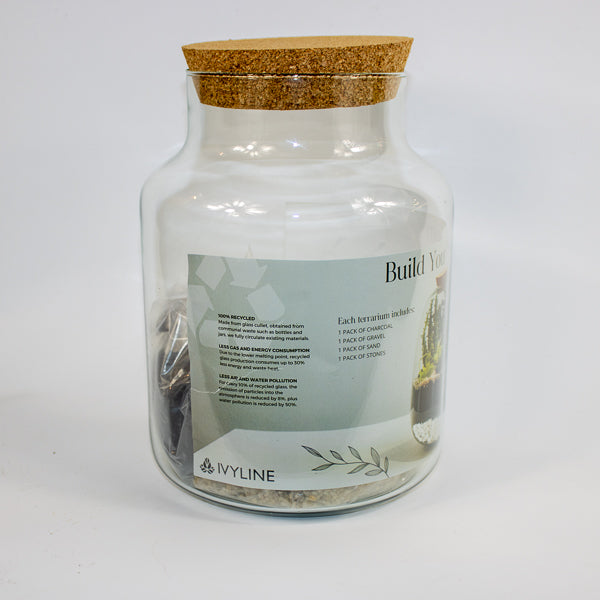 Bottle Shape Large Terrarium DIY Kit  H26.5cm W19cm