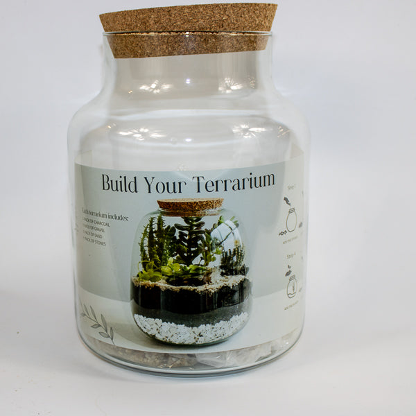 Bottle Shape Large Terrarium DIY Kit  H26.5cm W19cm