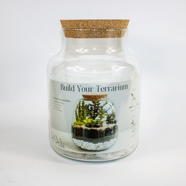 Bottle Shape Large Terrarium DIY Kit  H26.5cm W19cm