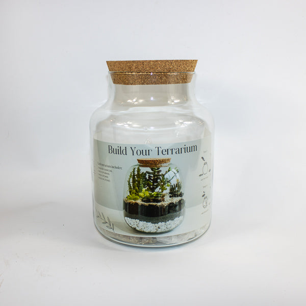 Bottle Shape Large Terrarium DIY Kit  H26.5cm W19cm