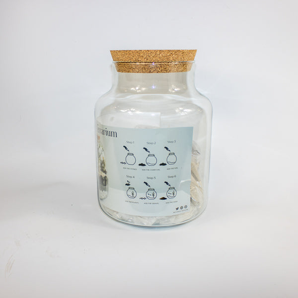 Bottle Shape Large Terrarium DIY Kit  H26.5cm W19cm