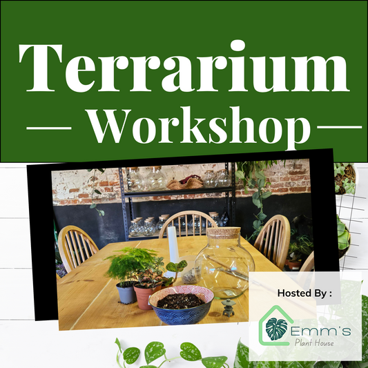 Advertisement for a Terrarium Workshop hosted by Emm's Plant House with a table setup and plants.