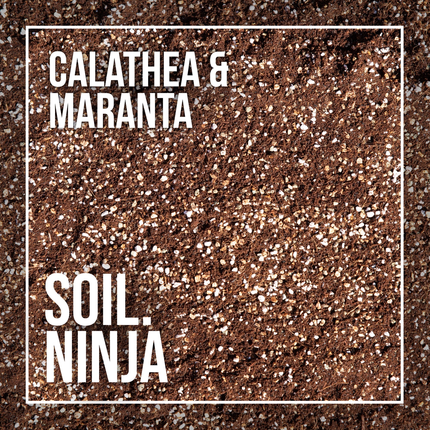 Calathea & Maranta Soil Mix