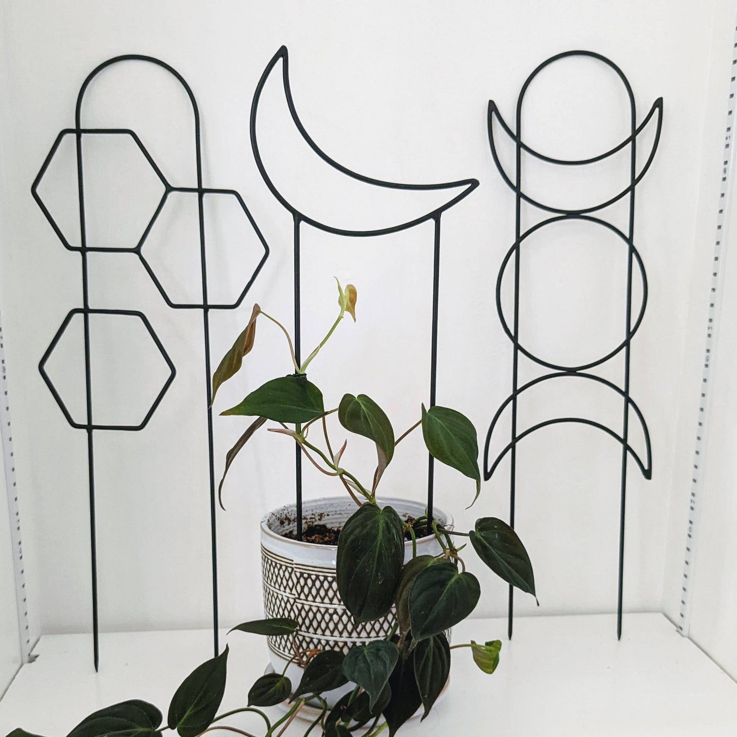 Metal Honeycomb Trellis