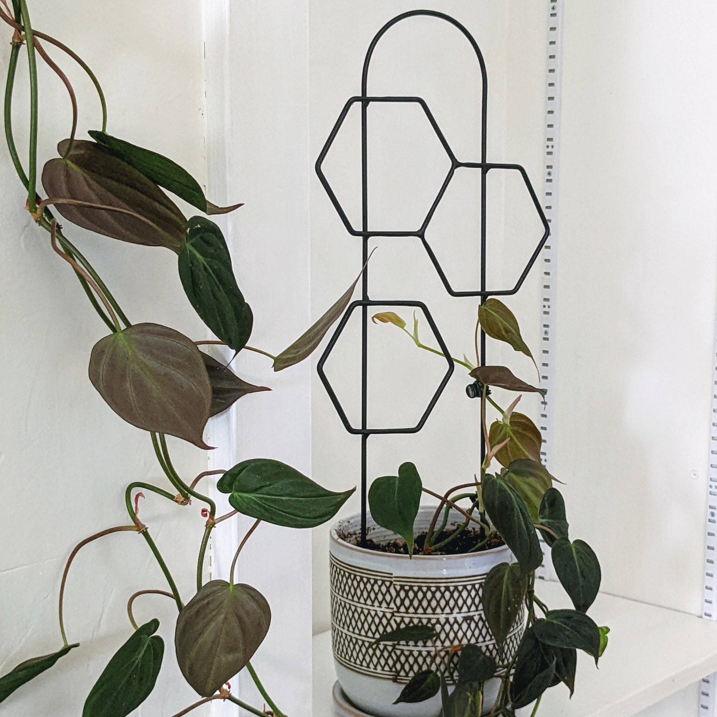 Metal Honeycomb Trellis