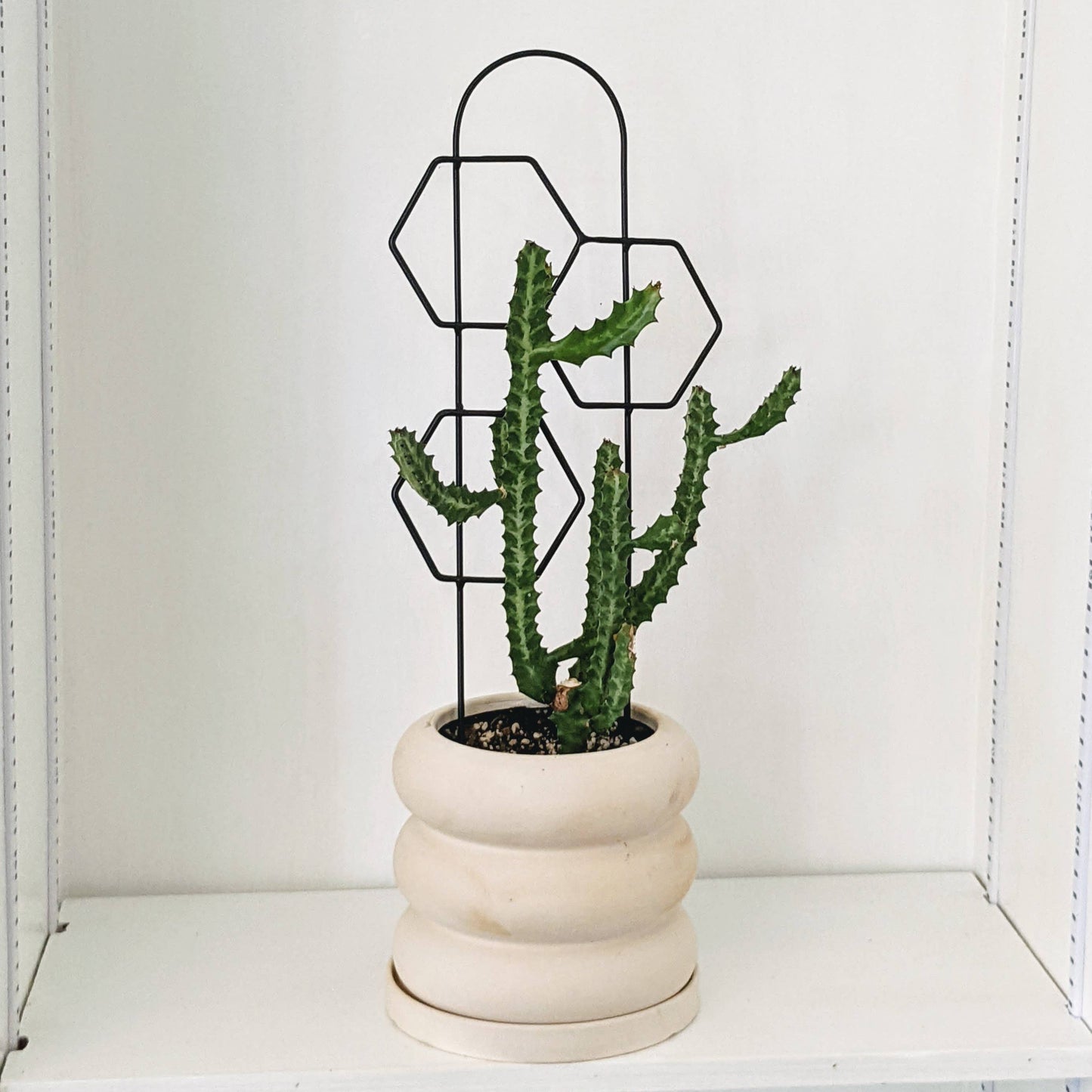Metal Honeycomb Trellis