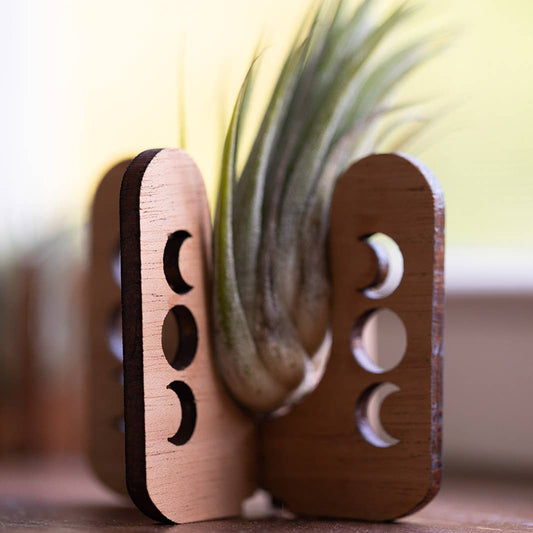 Moon Phase Air Plant Stand