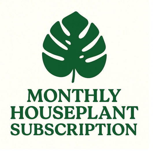 Emm’s Monthly Houseplant Subscription